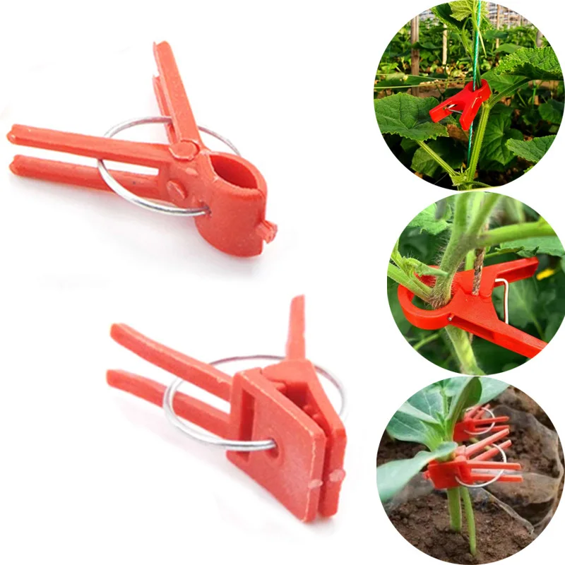 

Garden Graft Clip Plastic Plant Support Clips Anti-fallClamps Plants Vine Garden Greenhouse Vegetables Tomatoes Watermelon K5