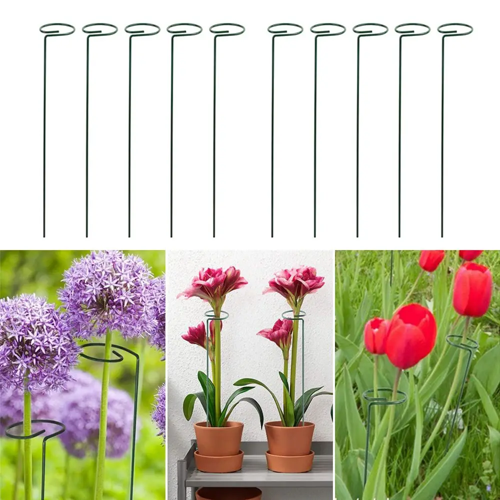 

5Pcs Metal Plant Support Pile Stand Plant Cage Frame Climbing Frame Plant Climbing Vine Rack Garden Bonsai Tool