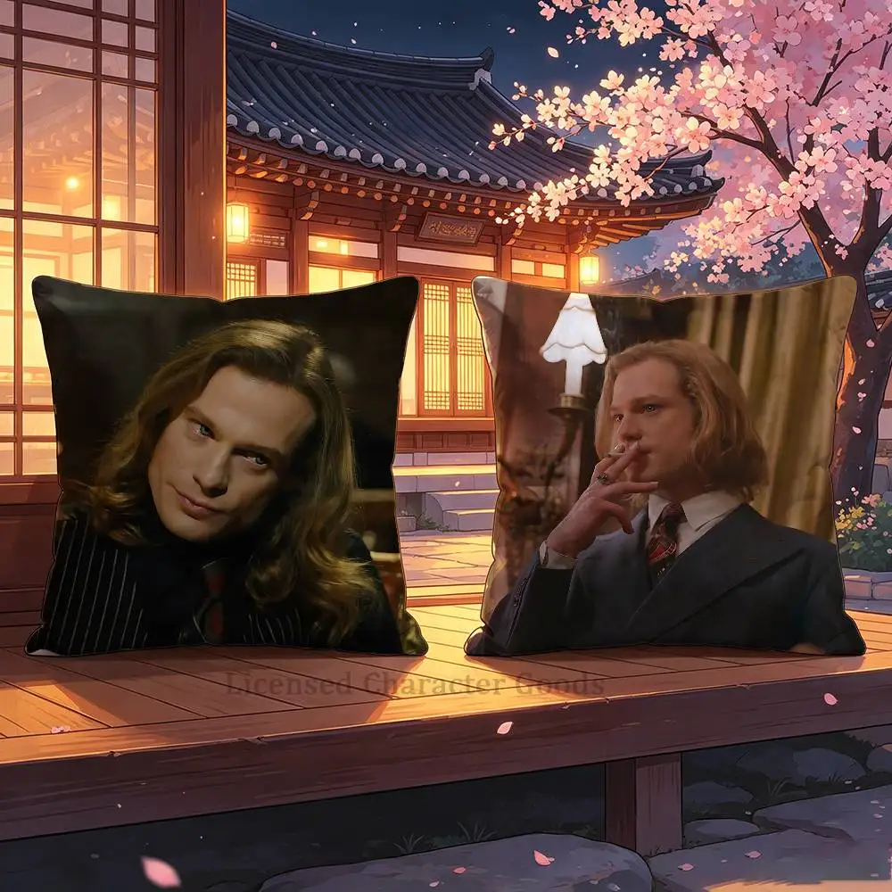 Фото Чехол для декоративной подушки L-Lestat de L-Lioncourt 30x30 35x35 40x40 45x45 50x50 см, устойчивый к выцветанию, для дивана на террасе, подходит для домашних животных №1