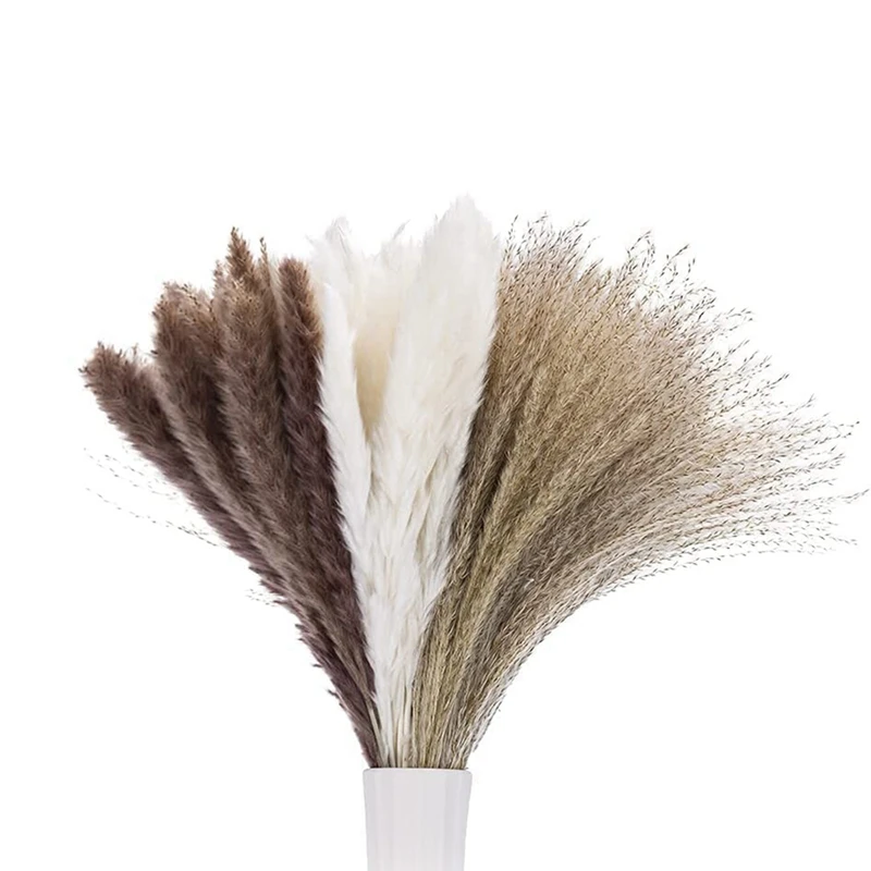 

Pampas Grass 60 Pcs, Natural Dried Pampas Grass Decor For Flower Arrangements Boho Wedding Decor