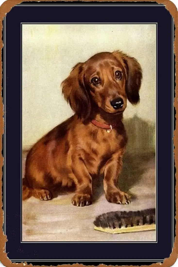 Оловянная вывеска TYmall с английским принтом такса Doxie длинношерстная щенок собака