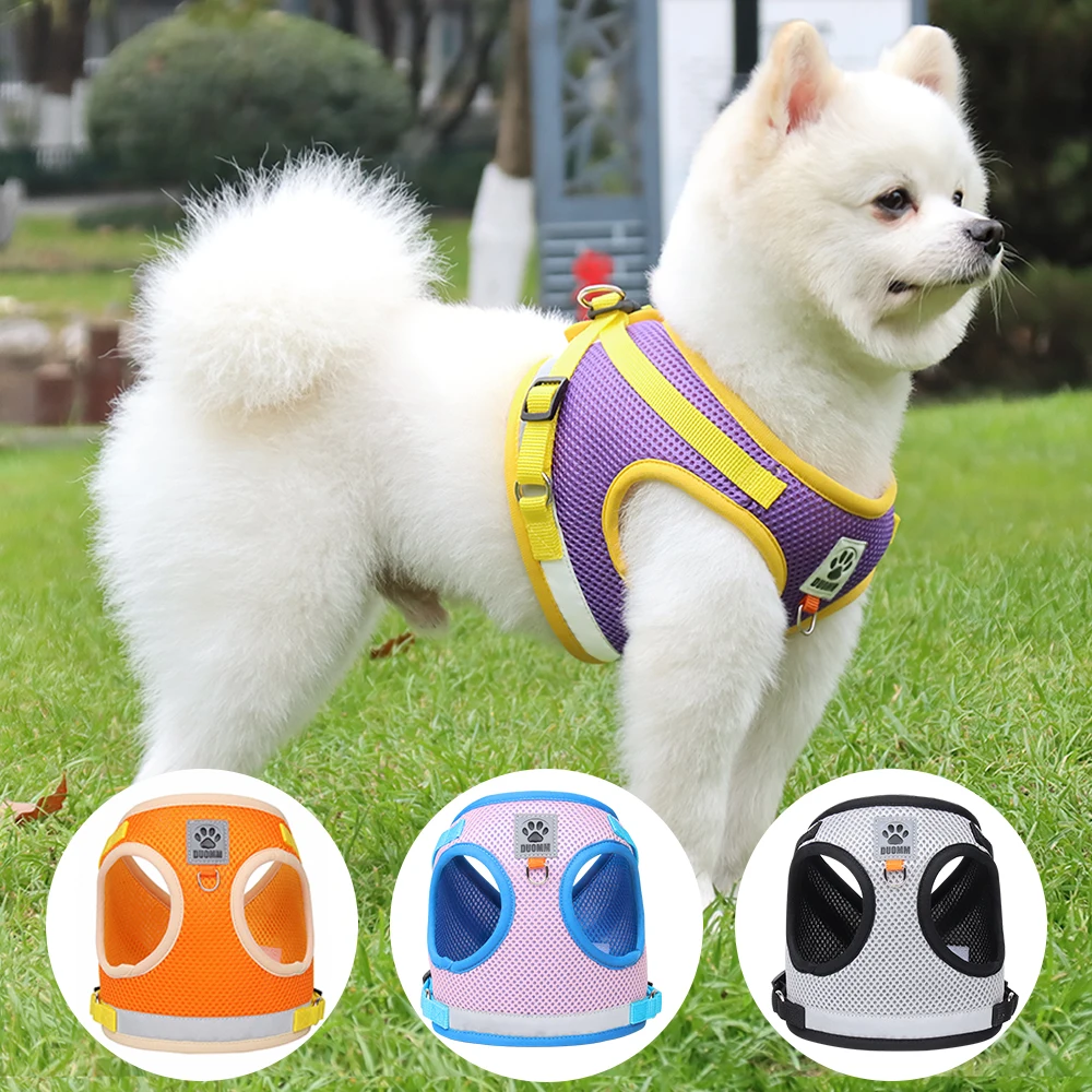 

2 Layers Mesh Dog Harness and Leash Set for Small Dog Adjustable Puppy Harness Vest Reflective Kitten Chest Strap Pet Cat Supply