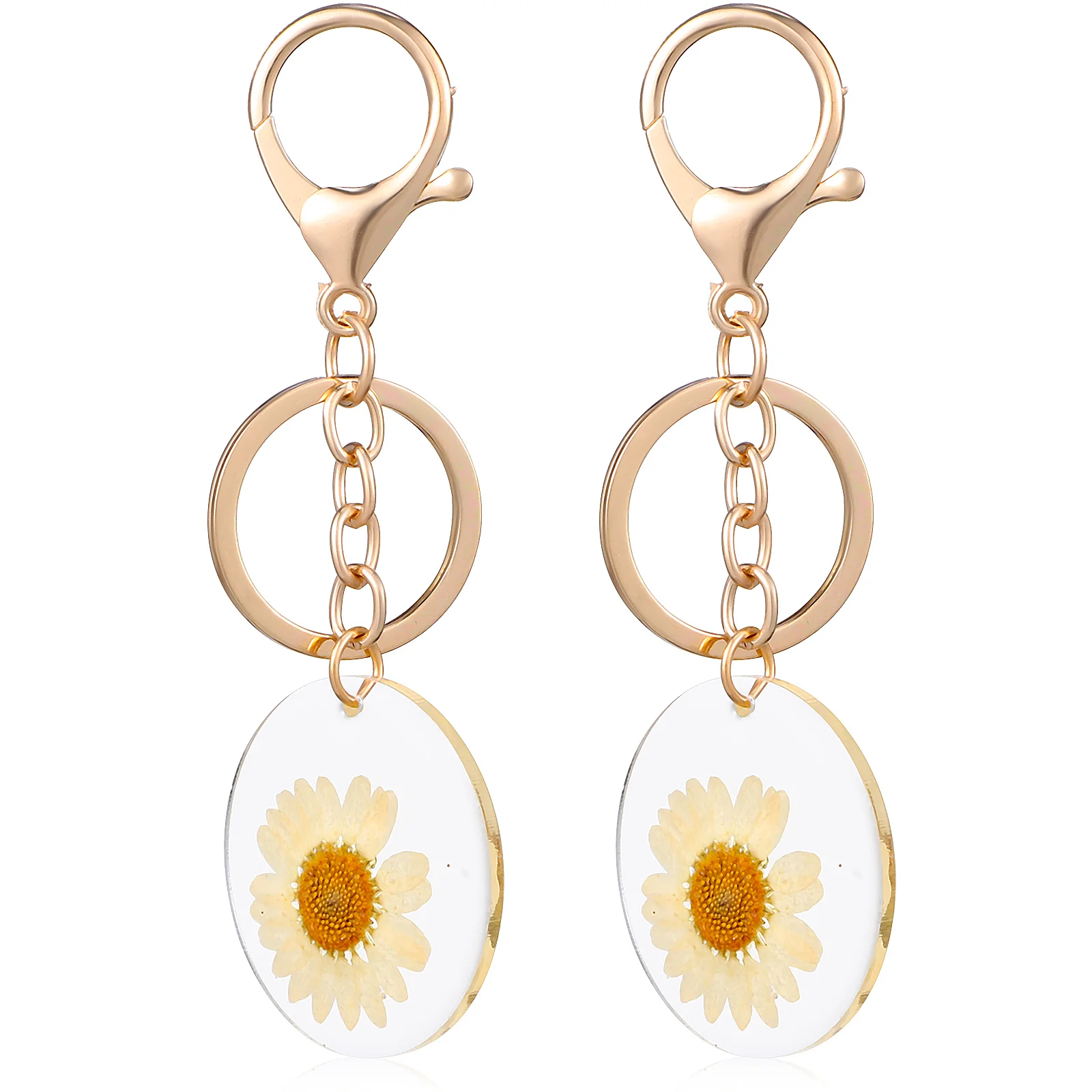 

2pcs Key Chains Metal Key Rings Backpack Key Chain Purse Pendant Decor Dried Flower Keychains