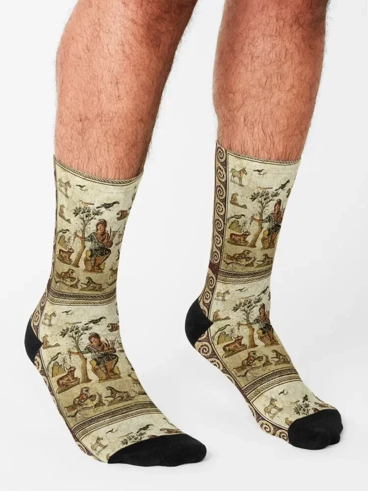 АНТИКЦИАЛЬНЫЕ РИМСКИЕ МОЩАИКИ ЖИВОТНЫЕ УСТРОЙСТВО С МИСТЕЙ МУЗЫКОЙ Носки