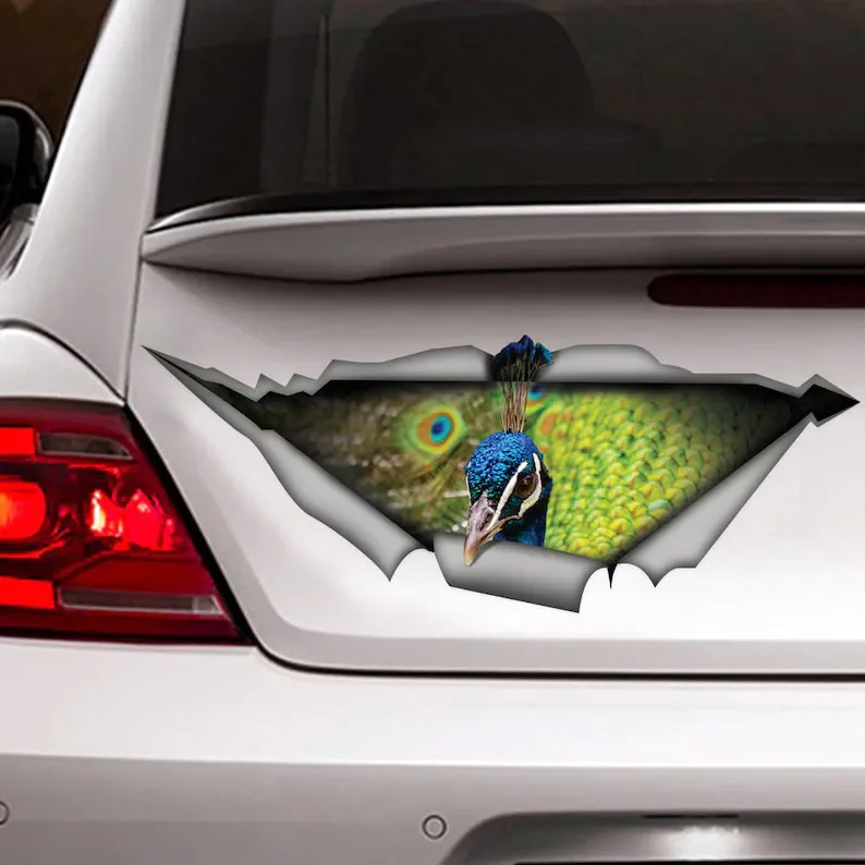 

Peacock car decal, funny car sticker, bird decal, Peacock sticker