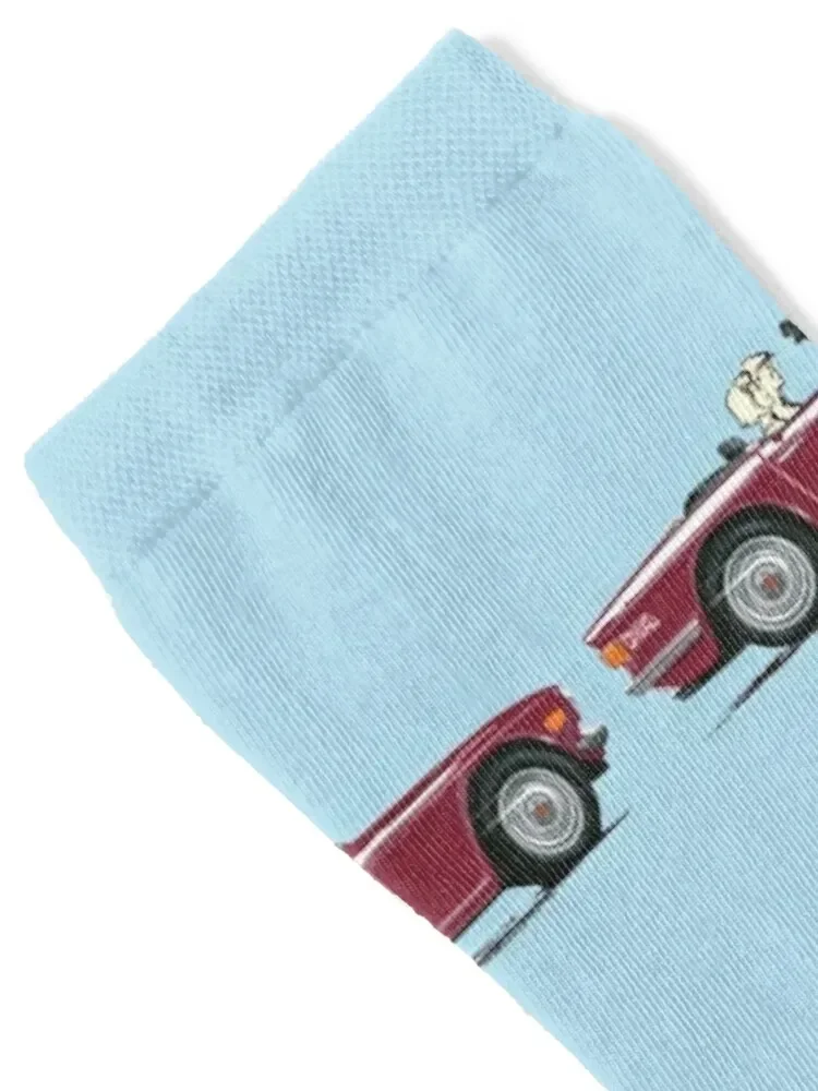 Классические британские спортивные носки Damson TR6 красного цвета для мужчин и