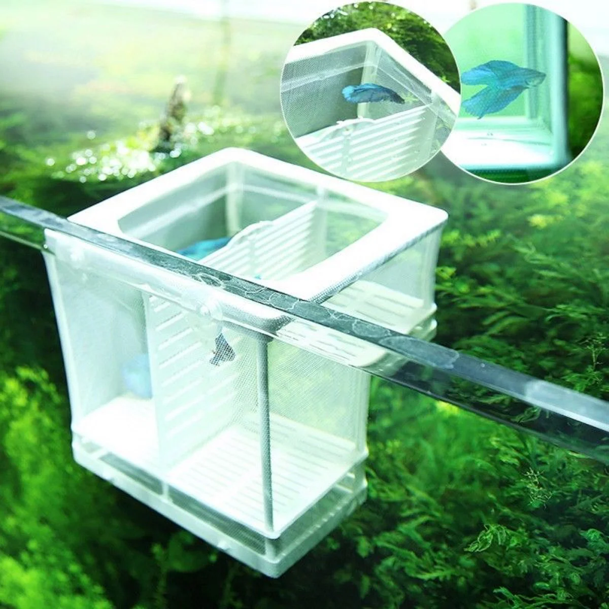 

Fish Box Breeder Net Breeding Tankaquarium Isolation Large Hatchery Nurserymesh Baby Small Divider Separation Acclimation