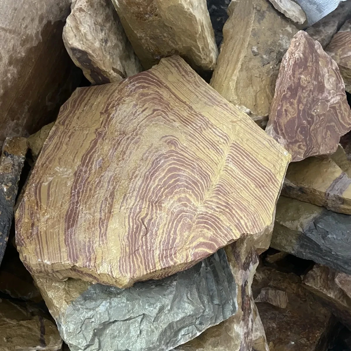 Рисунок 6 - 500 г натуральное сырье руды шесть колец твердость 2