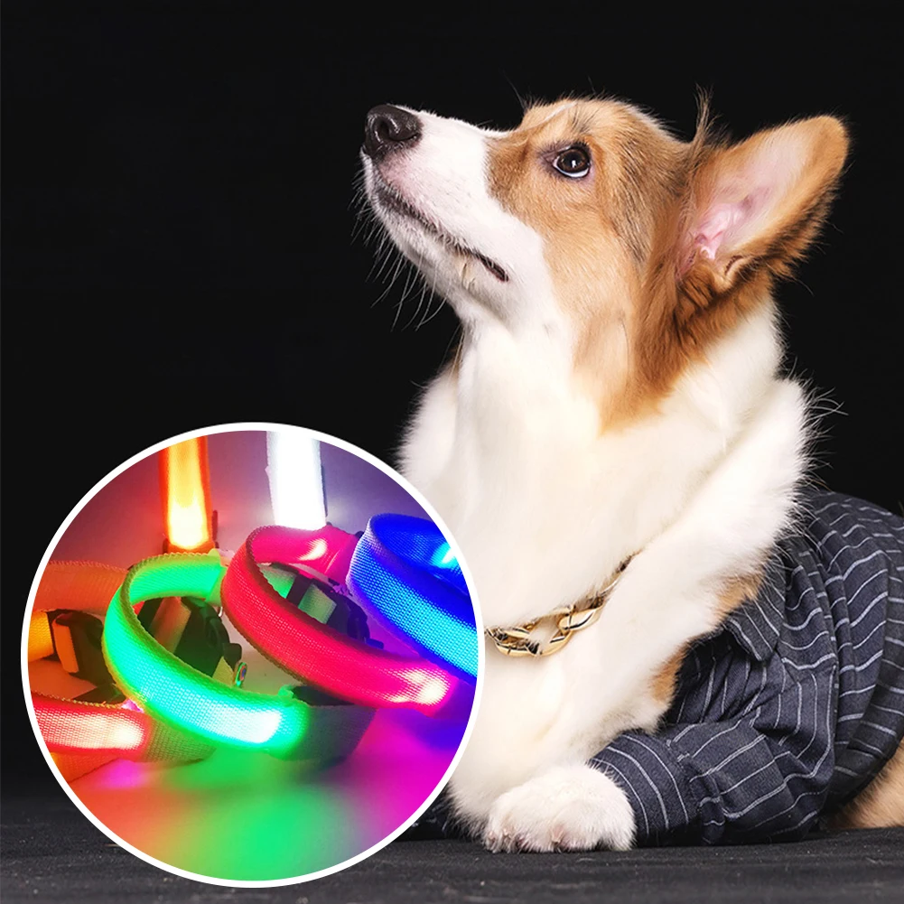 

Pet Dog Collar Adjustable LED Light Flashing Glow Luminous Pet Safety Collar Night Belt Dogs Luminous Fluorescent Collars