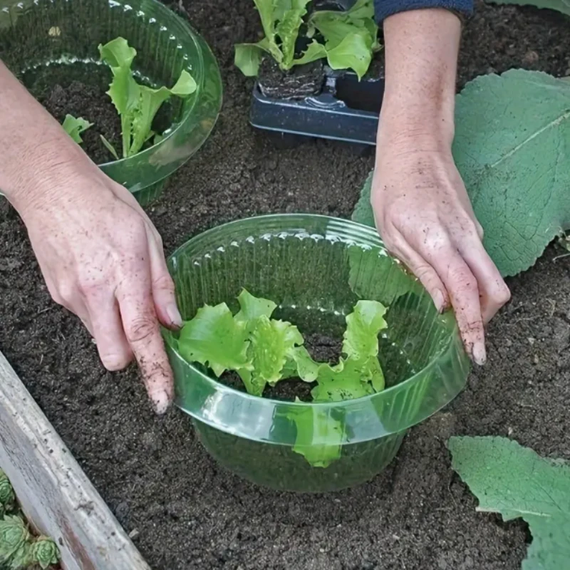 

Прозрачный защитный чехол для растений из пластика