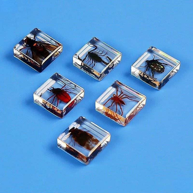 

Real Insect Specimen Transparent Resin Amber Scorpion Spider Wasp Tabletop Crafts Ornament Collection Gift Teaching Tools Decor