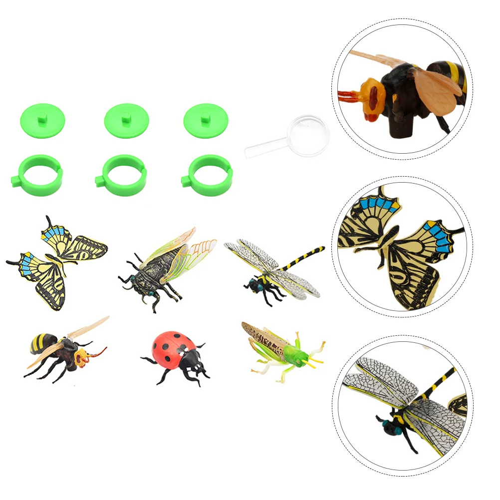 

6 Pcs Well-made Exquisite lifelike Insects Models Insect Decoration Toys for Collection