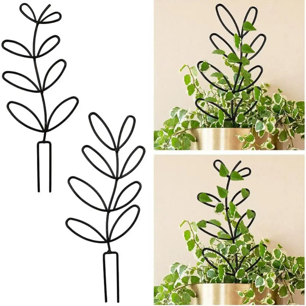 1pcs Bracket Plant Support Rack Creative For Home Leaf Shape Elegant Ornamental Metal Flower Support For Home Garden Decorations
1pcs Bracket Plant Support Rack Creative For Home Leaf Shape Elegant Ornamental Metal Flower Support For Home Garden Decorations