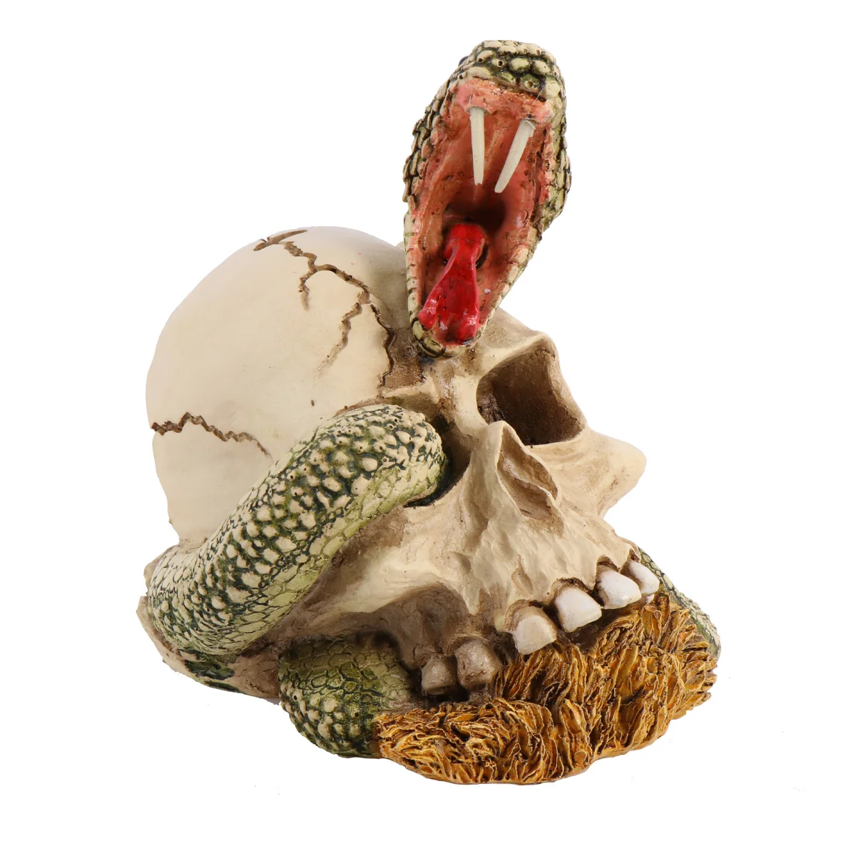 

Skullhead Heads Hallowen Decorative Ornament Decoration Sculpture Centerpieces Tablefigurines Statue Scary Statues Snake Resin