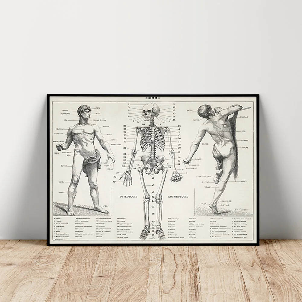 

Pierre Larousse Antique Art Print Poster The Human Body Scientific Illustration Wall Picture Skeleton Canvas Painting Decor Gift