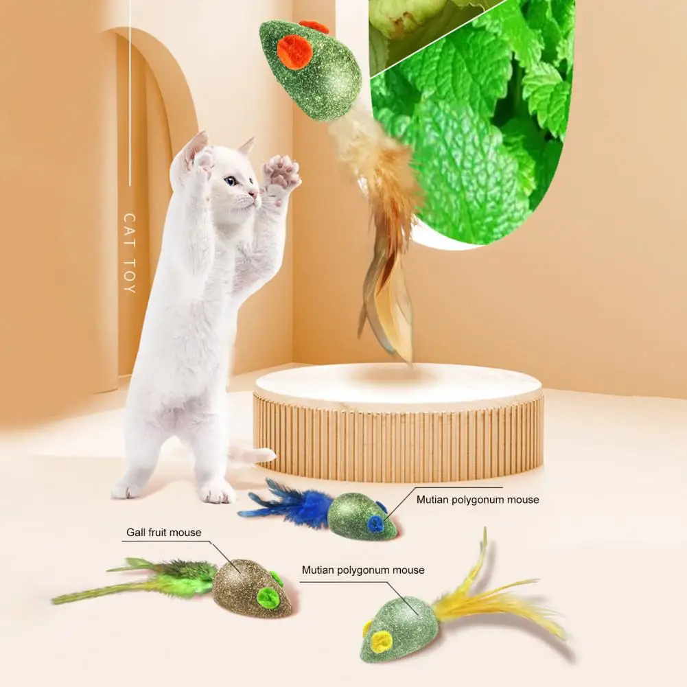 

2Pcs Bite-resistant Safe Clear Intestines Mouse Shape Kittens Catnip Molar Teeth Chew Toys Kitten Catnip Toys Pet Supplies
