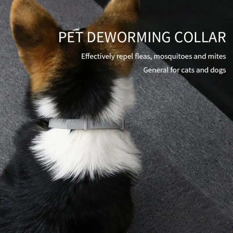 

Pet Collar Anti-mosquito & Insect Repellent Collar Anti Flea & Tick Prevention 8 Months Adjustable Cat Dogs Collar Dropshipping