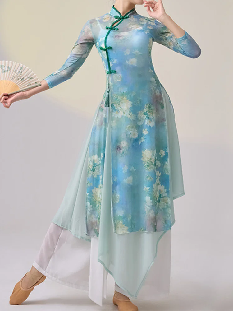 

Dance Slim Fit Belly Street Waltz Ballroom Dress Jazz Mesh Ballet Wear Dresses for Prom Dancewear Latin Costume Modern Cheongsam