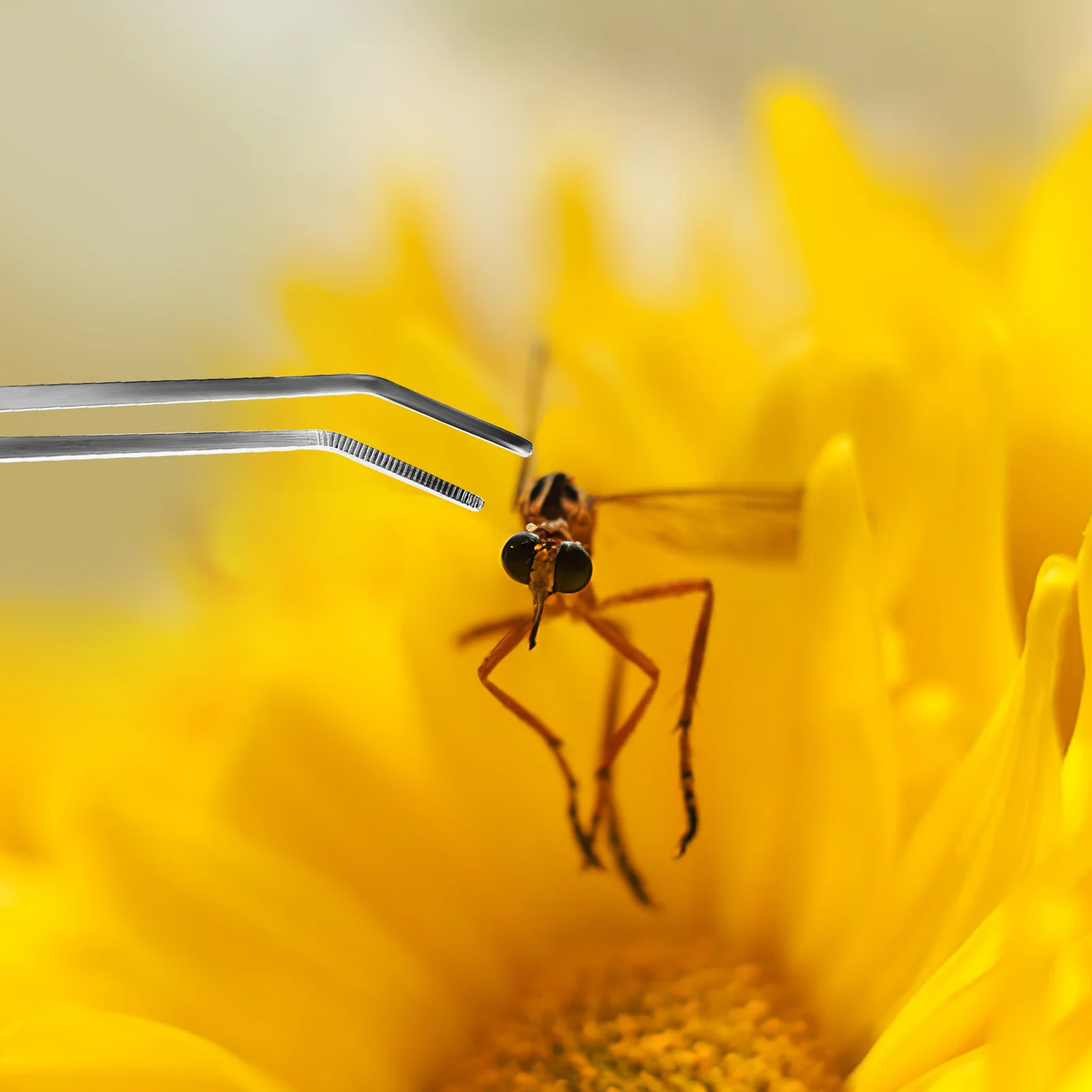 3 шт. пинцет для ресниц прецизионный штамп из нержавеющей стали металлический