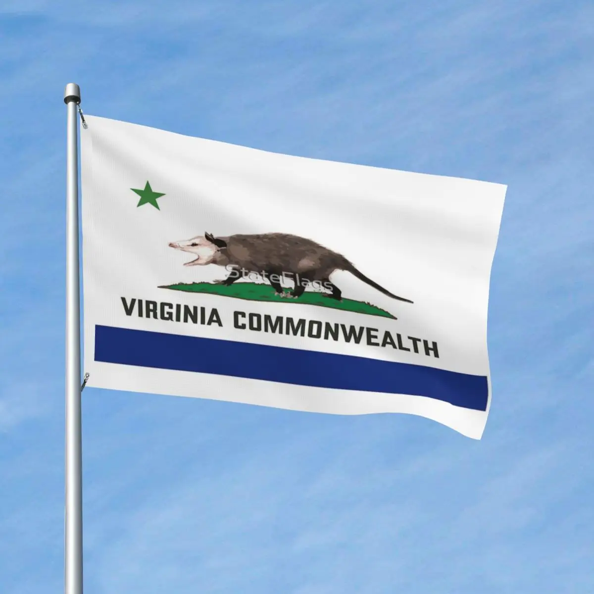 

Virginia Commonwealth Flag Vintage Easy To Hang Vibrant Colors Soft Fabric Flowy Bright Customizable