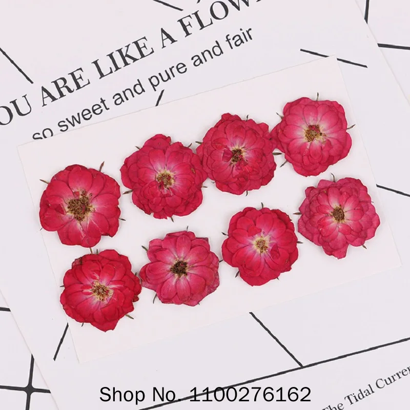 

120pcs Pressed Press Dried Rose Flower Filler For Epoxy Resin Pendant Necklace Jewelry Making Craft DIY Accessories