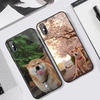 corgi shiba inu dog cute animal phone case tempered glass for iphone 11 12 13 pro max mini 6 7 8 plus x xs xr