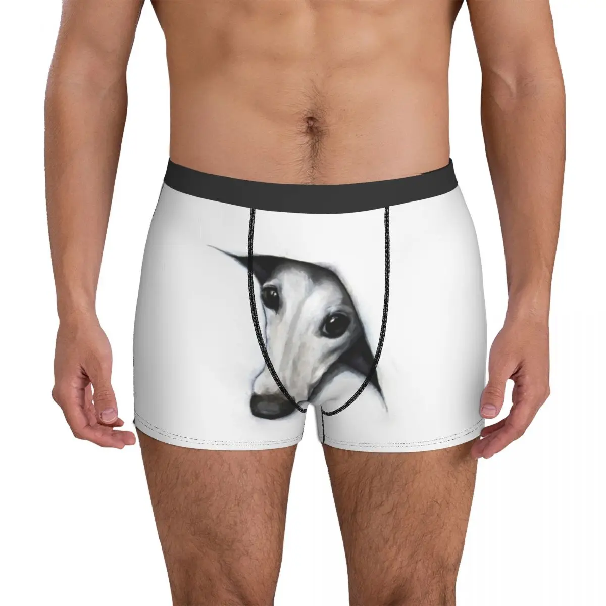 

Greyhound Underwear Peeping Whippet Men Panties Custom Sexy Trunk High Quality Shorts Briefs Plus Size