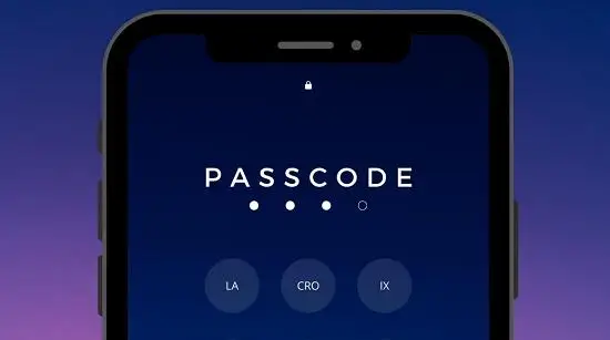 

2020 Passcode by Adrian Lacroix - magic tricks