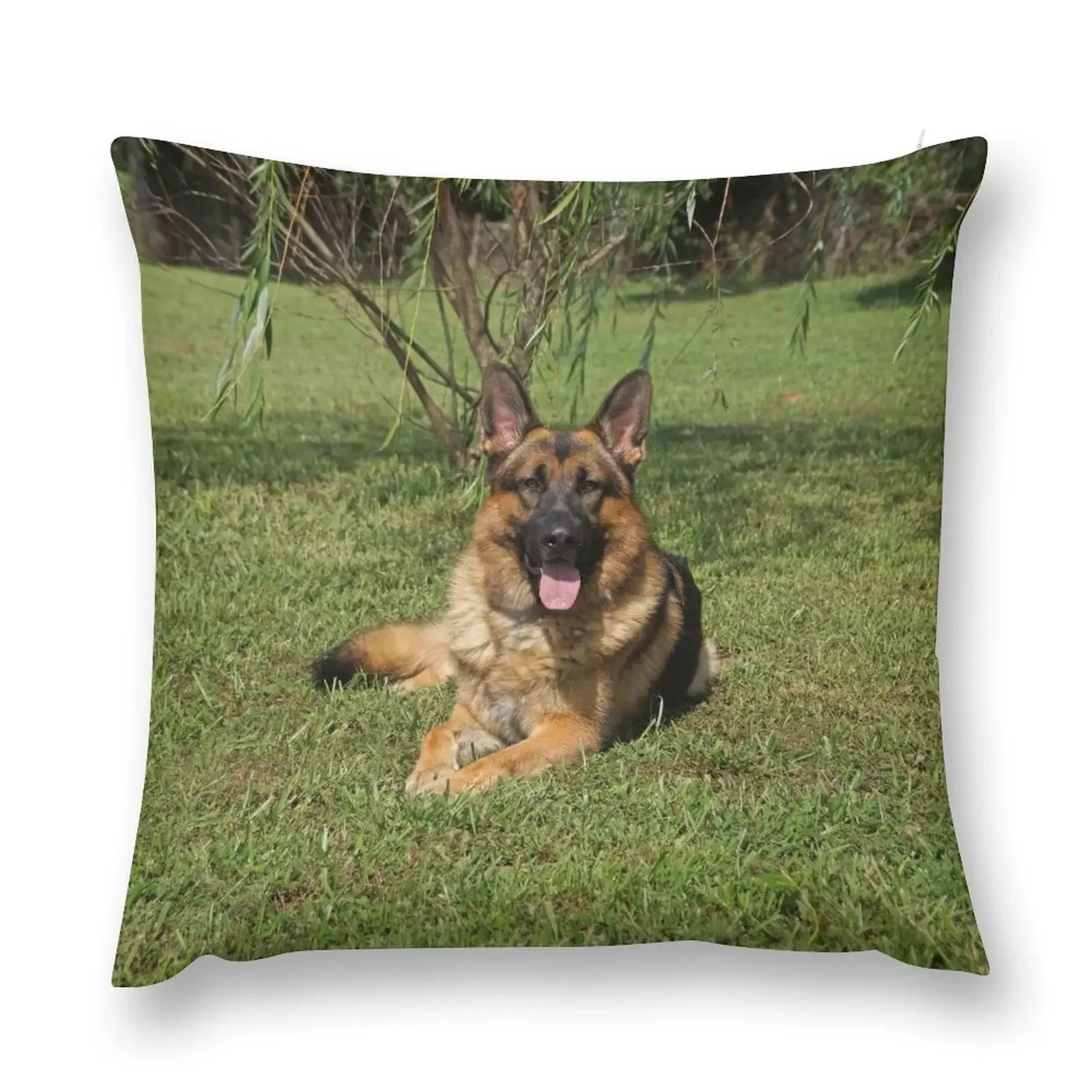 Декоративная подушка Chance by the Weeping Willow Подушки для дивана Наволочки