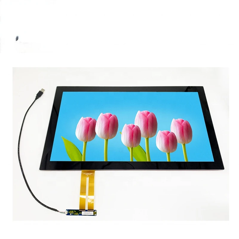 

Frameless Multi Touch Screen 350 nits LCD Module Naked 21.5''