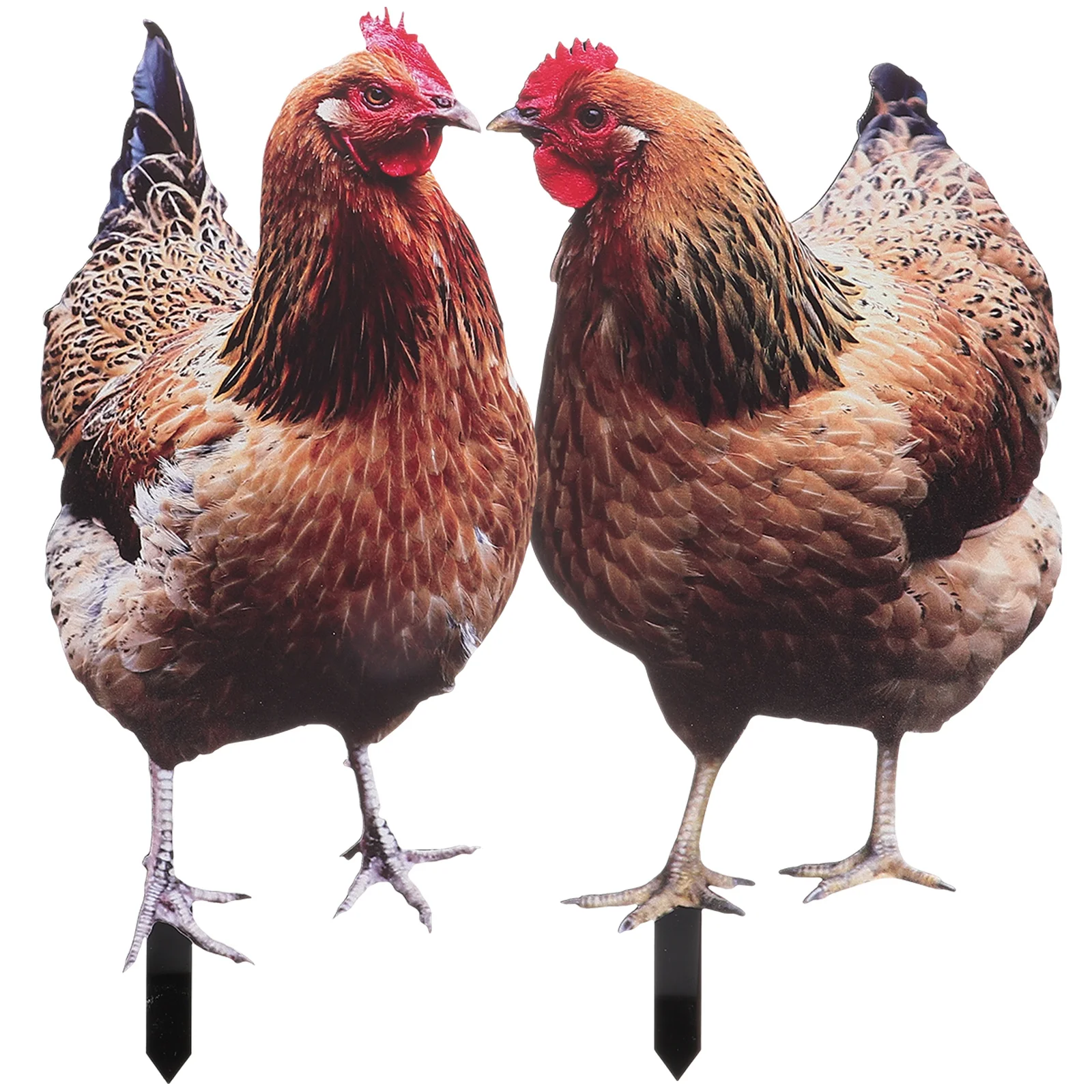 

Farm Animals Action Figure Chicken Garden Decoration Black Decorations Lawn Sign