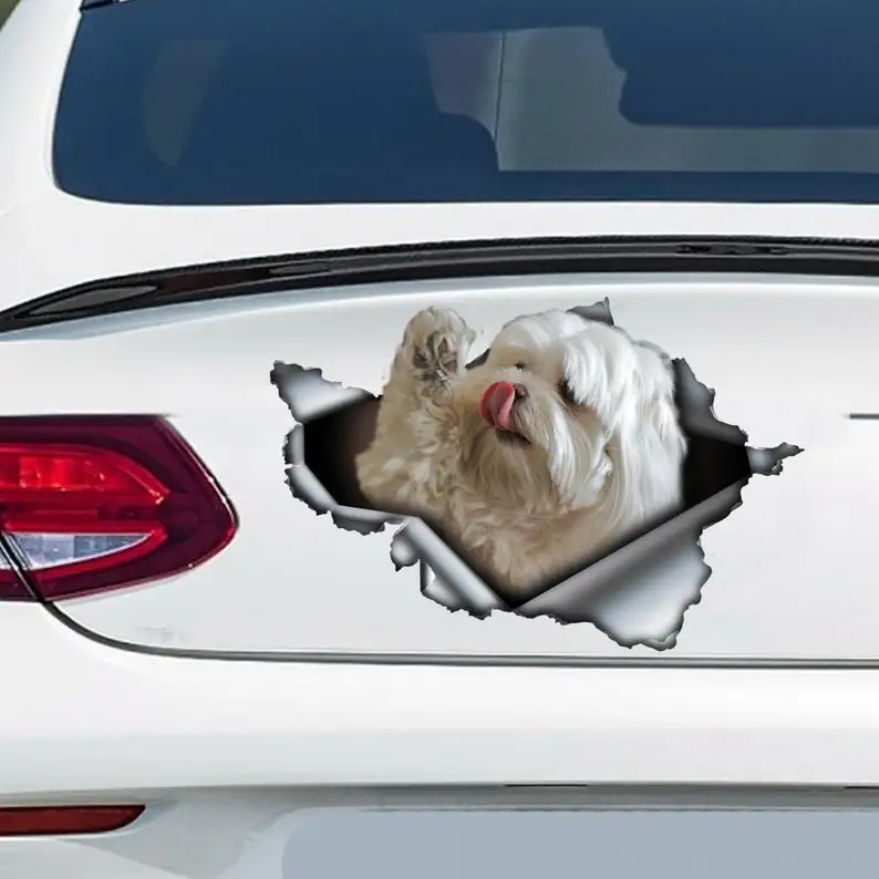 

Maltese car decal, Maltese magnet, maltese car sticker, pet decal