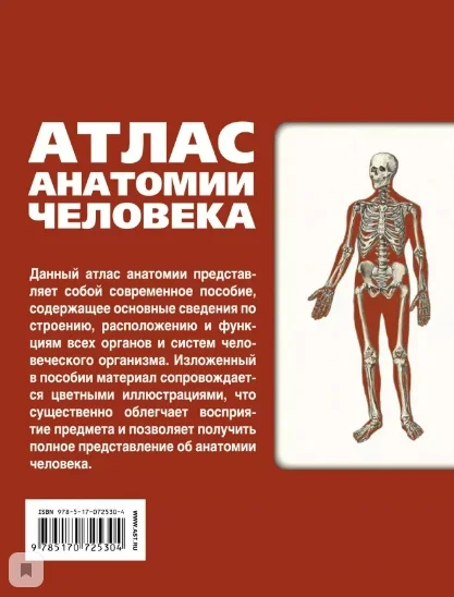 Человек. Книга Лёвкин С.С. Атлас анатомии человека | Канцтовары для офиса и дома