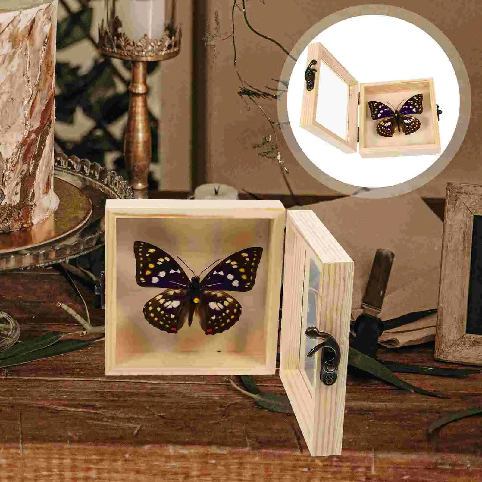 

Exquisite Detailed Premium Displaying Multi-functional Wall Hanging Specimen Photo Prop, Display Box for Education Prop