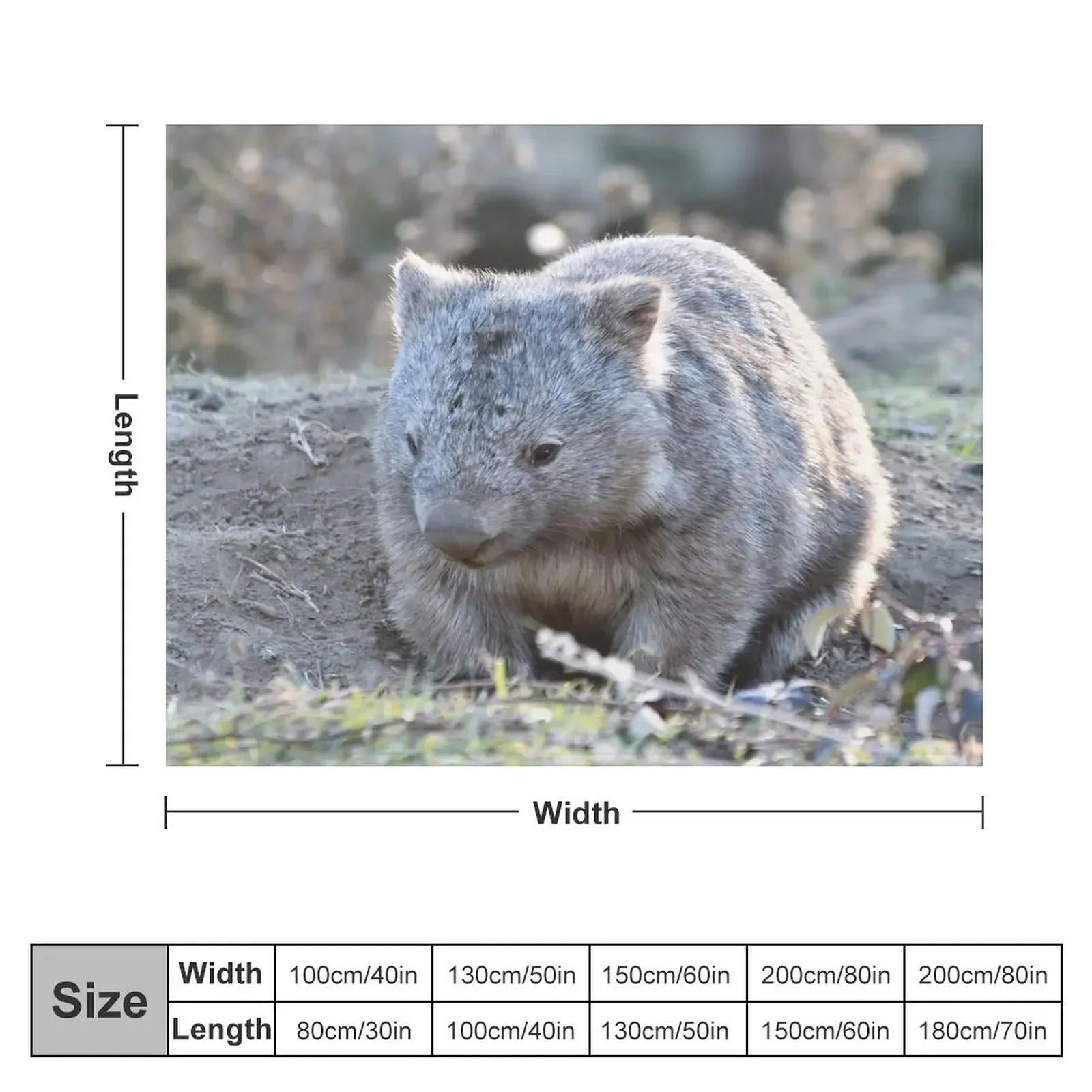 Одеяло Wombat in the Sun Декоративные среды Многоцелевые детские одеяла