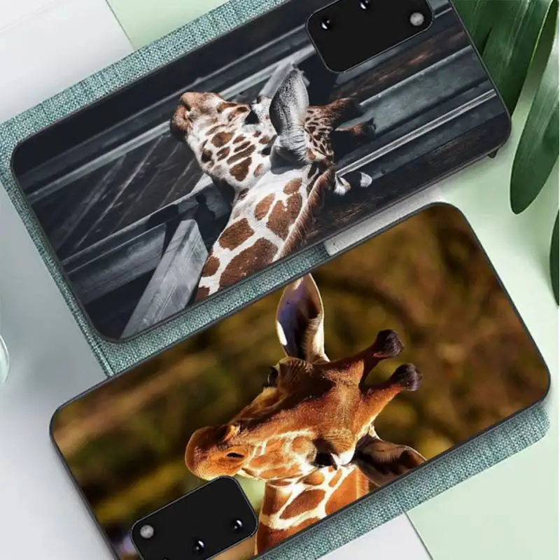 

Cute Animal Giraffe Phone Case for Samsung S10 21 20 9 8 plus lite S20 UlTRA 7edge