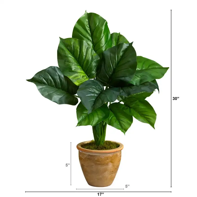 

Большой декоративный плантатор Philodendron, зеленый цвет