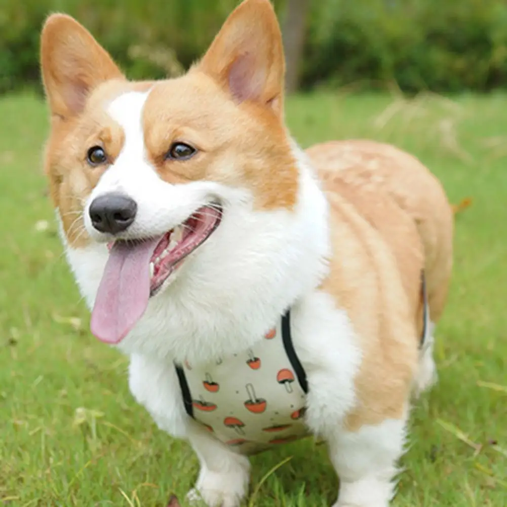 

Fashion Pet Belly Costume Large Adjustment Range TPU Dog Clothes Belly Protector Pet Bib Pets Clothes