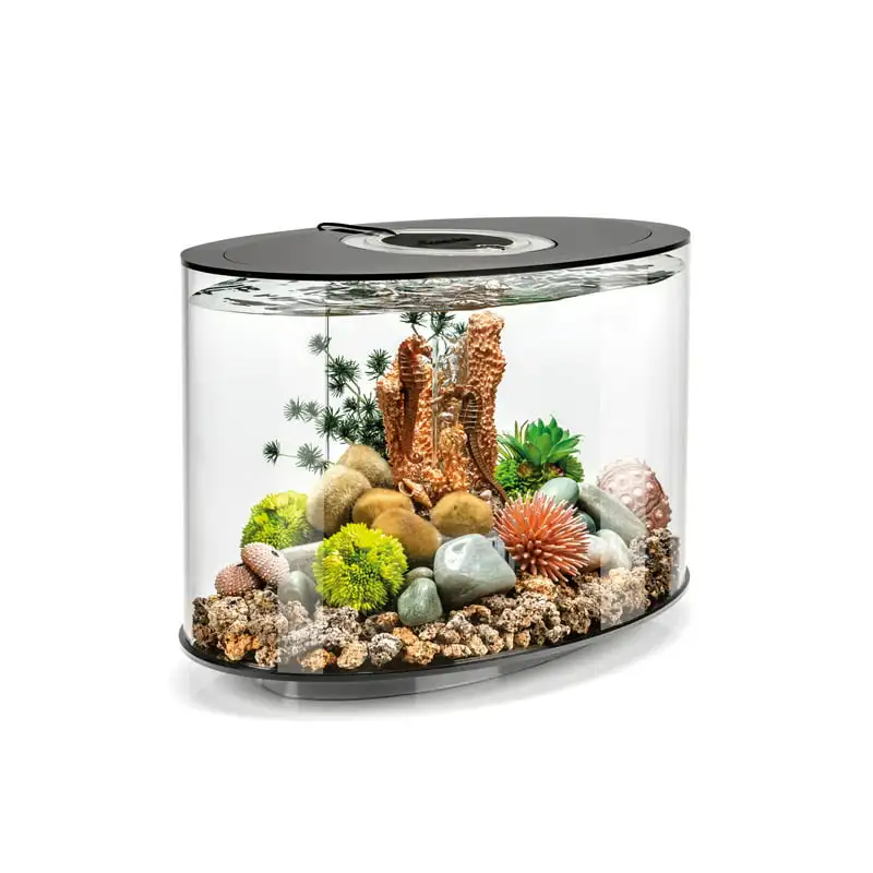 

LOOP 15 Aquarium with Standard Light - 4 gallon, black