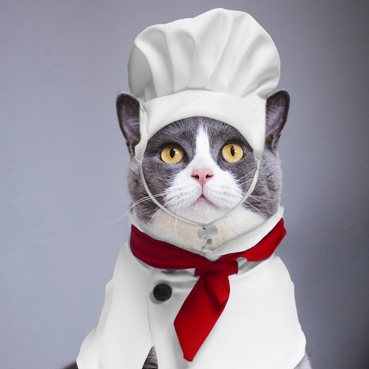 Кулинарная шляпа короля для домашних животных платье-трансформер кошек и собак