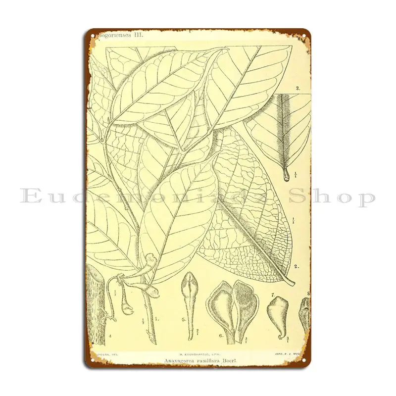 

Anaxagorea рамифлора металлическая табличка, кухонный герой, фотография, настенная роспись, жестяной знак, плакат