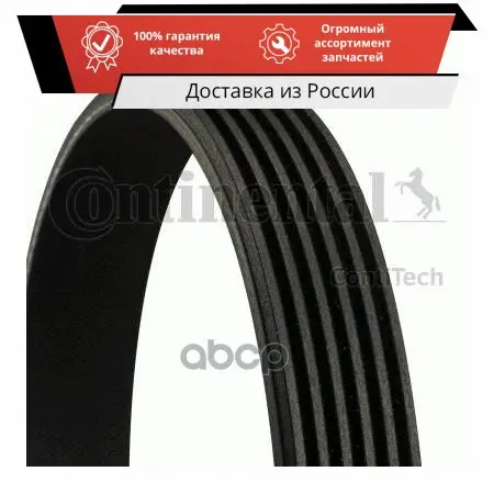 CT-6PK842ELAST_ремень поликлиновой!\ Audi A3 VW Golf VI/Touran 1.6/2.0TDi 03 ContiTech арт. 6PK842ELAST - купить по