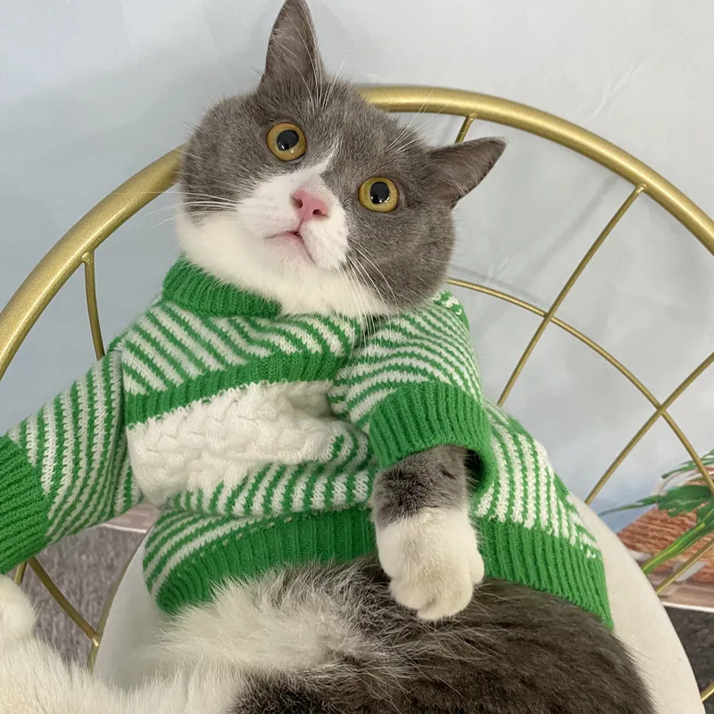 

Dog Fighting Cat Blue and White Cashmere Thickened Warm and Cold Clothes