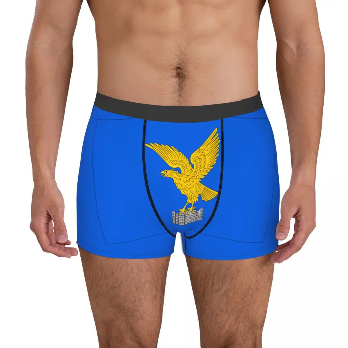 

Sexy Undies Flag Of Friuli-Venezia Giulia Summer Wearable Men's Boxer Briefs Creative Funny Novelty regions of Italy