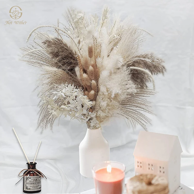 

Natural Dried Pampas Grass Bouquet Boho Decor Fluffy Reed Bunny Tail Wheat Stalk DIY Bouquets Holiday Gifts Wedding Supplies