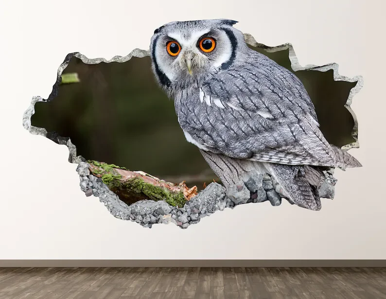 

Owl Wall Decal - Bird Animal 3D Smashed Wall Art Sticker Kids Room Decor Vinyl Home Poster Custom Gift KD592