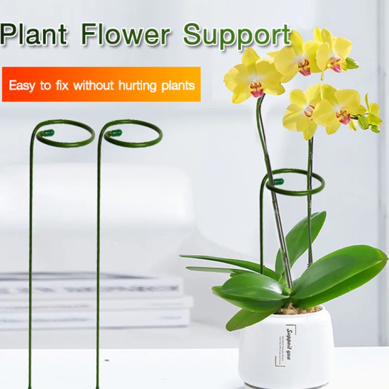 

Unique Support Pole for Butterfly Orchids and Other Plants