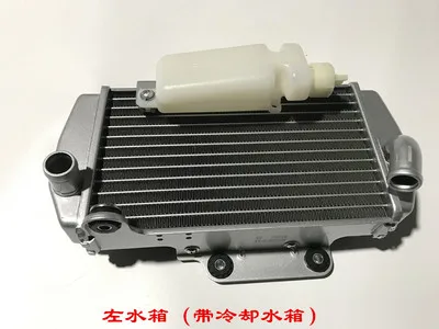 

Voge 300 аксессуары для ралли Voge ралли 300 мотоциклетный оригинальный радиатор резервуар для воды с охлаждающим резервуаром для воды с вентилятором