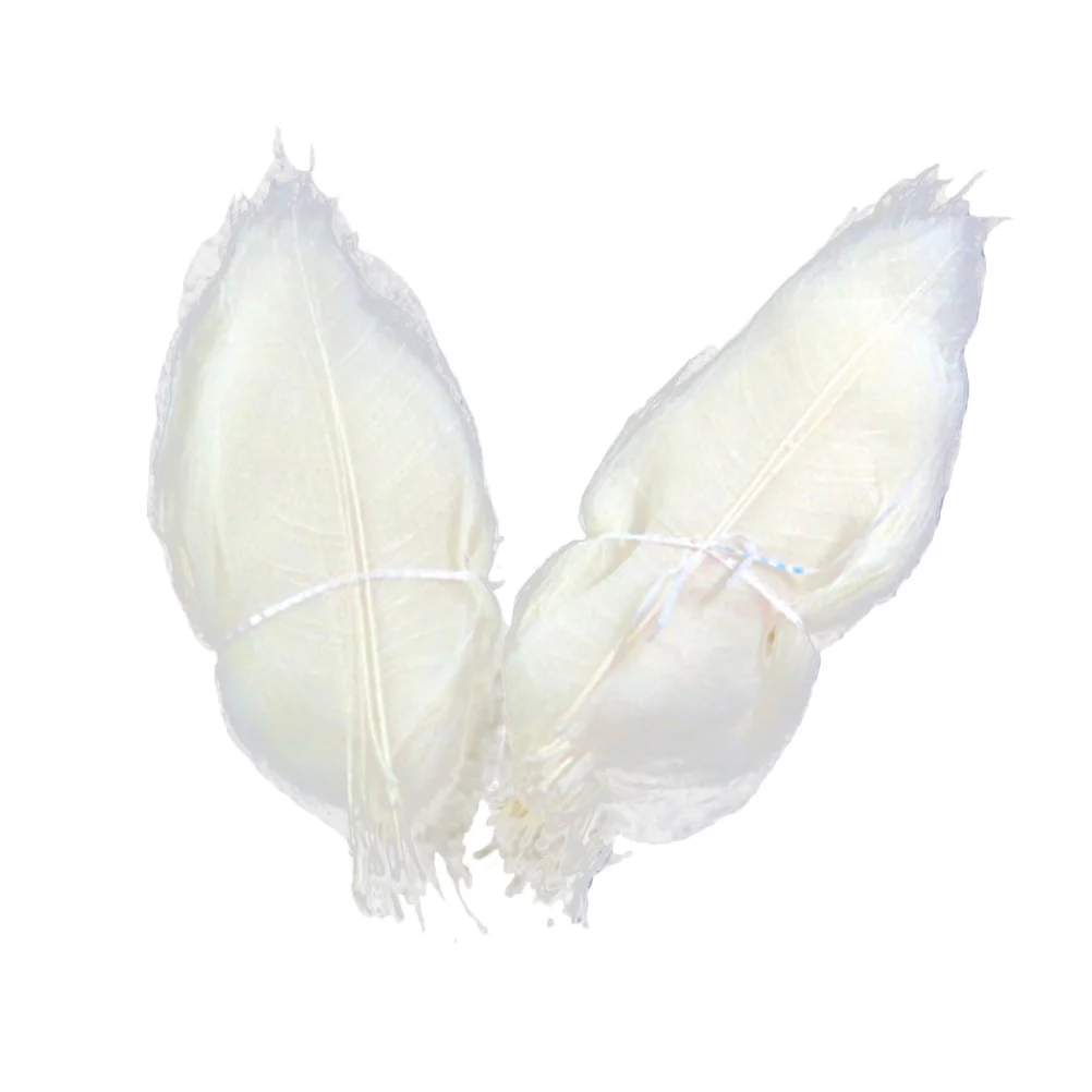 

Leaves Dried Leaf Diy Craft Natural Specimen Bookmark Artificial Crafts Scrapbook Pressed Flowers Project Rubber Wedding