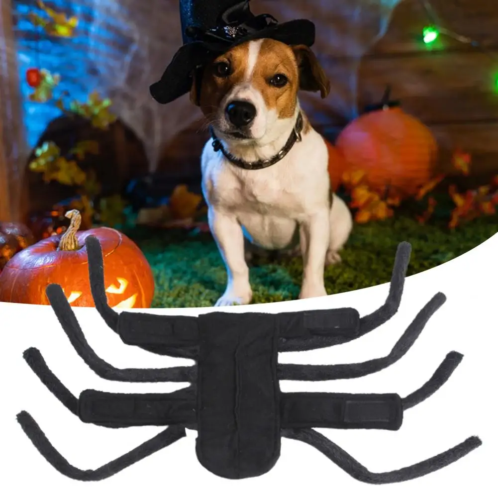 

Adjustable Pet Costume with Fastener Tape Design Pet Halloween Spider Costume for Cats Dogs Soft for Party for Customizable